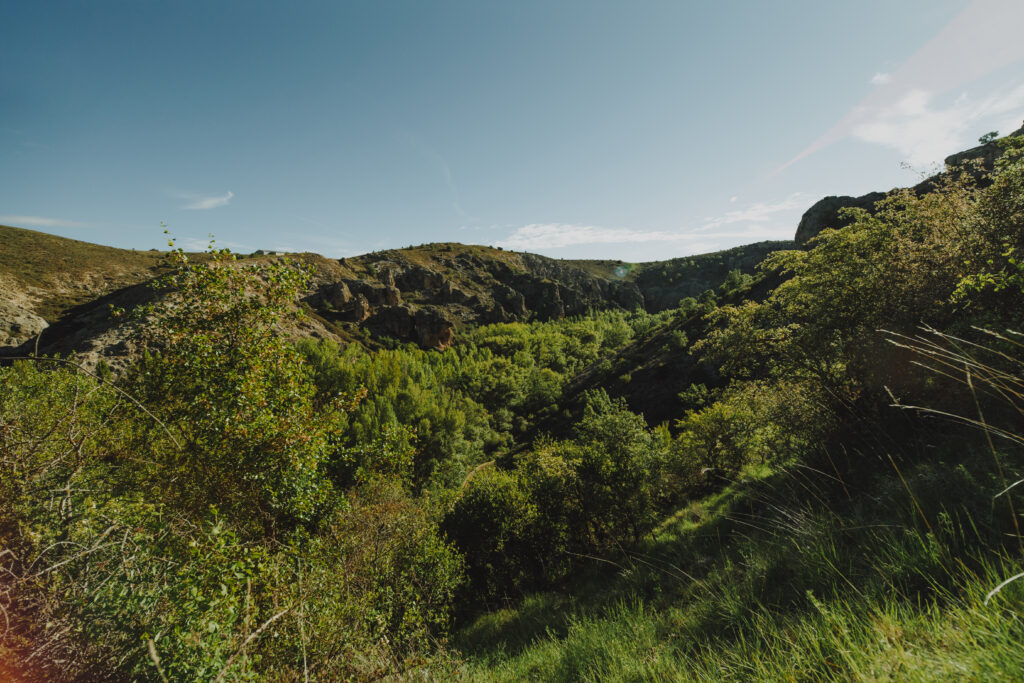 Vista para a natureza